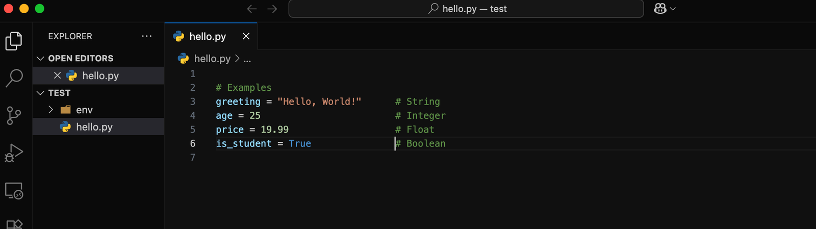 VS Code showing examples of all 4 data types