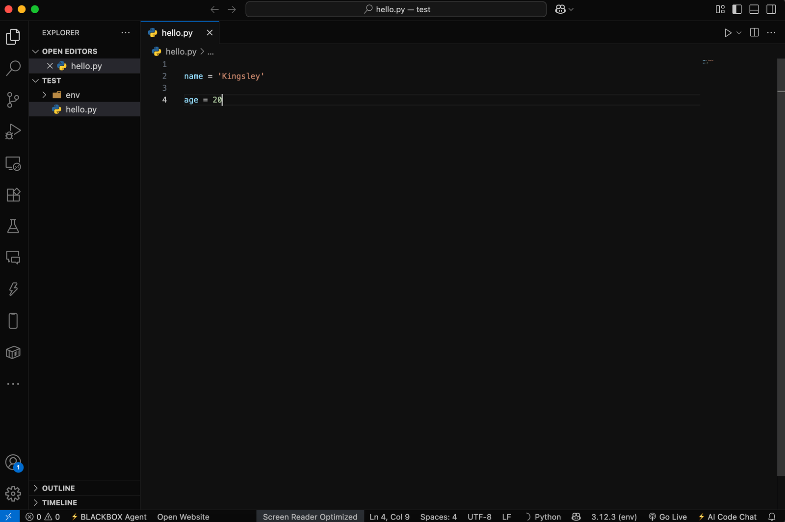 VS Code showing variables name and age defined